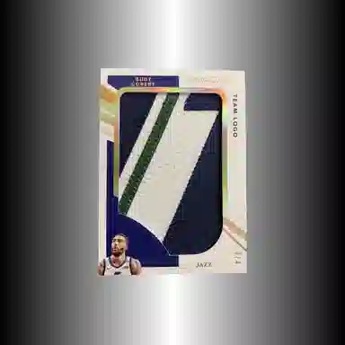 PANINI 2020-21 Immteamlogo PATCH 34 logo