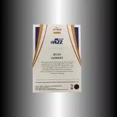 PANINI 2020-21 Immteamlogo PATCH 34 logo