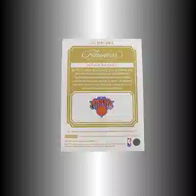 PANINI 2021-22 Panini 1920 patch