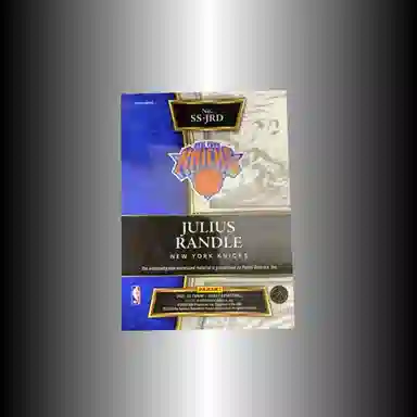 PANINI 2021-22 Select