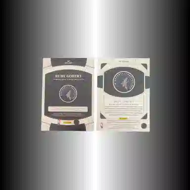 PANINI 2022-231125 patch+7399