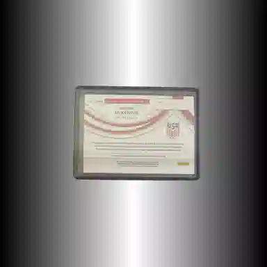 PANINI 2022-23 IMM 4849