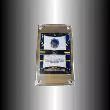 PANINI 2019-2020 select