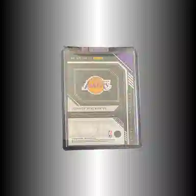 PANINI 2022-23 Noir patch 1240