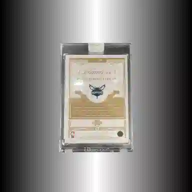 PANINI 2020-21 FlawlessPJ23 3