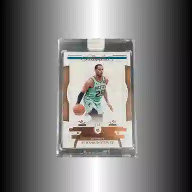 PANINI 2020-21 FlawlessPJ23 3