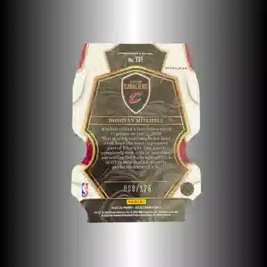 PANINI 2022-23select 175