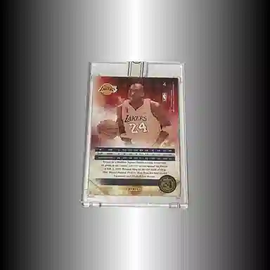 PANINI 201516 Replay 0830