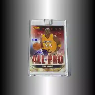 PANINI 201516 Replay 0830