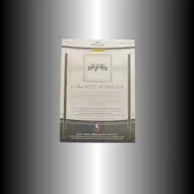 PANINI 2020-21 patch 0625