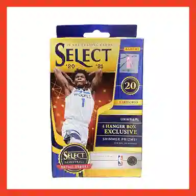 PANINI 2020-21 Select Basketball Hanger