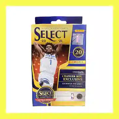 PANINI 2020-21 Select Basketball Hanger