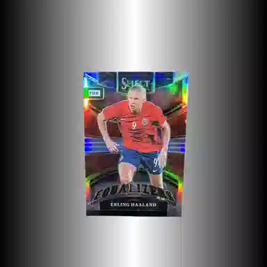 PANINI FIFA SELECT