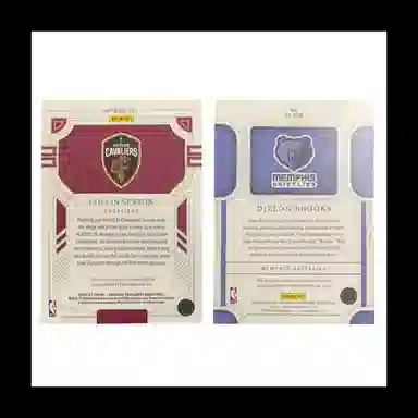 PANINI 2022-239099 +9999