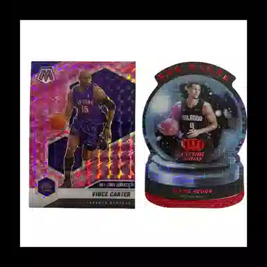 PANINI 2020-21 +2022