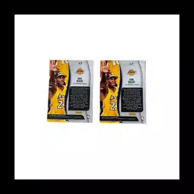 PANINI 19-20 Prizm 2