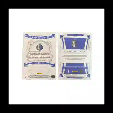 PANINI 2022-23 ink5999+base 7899