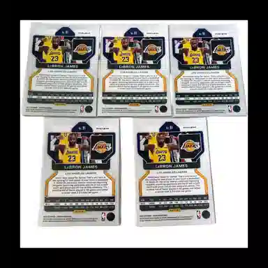 PANINI 21-22 Prizm 5