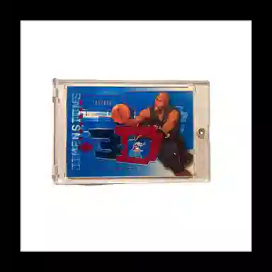 UPPER DECK 2004UD 3D Jersey 499