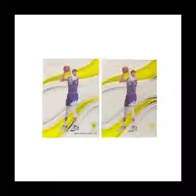 PANINI 2022-23 0599BASE+2399