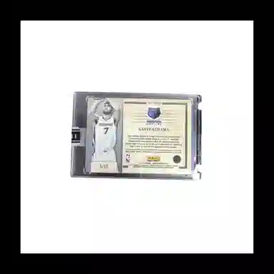 PANINI 2021-22 rja 310