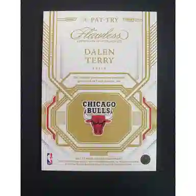 PANINI 2022-23 RC patch 0420