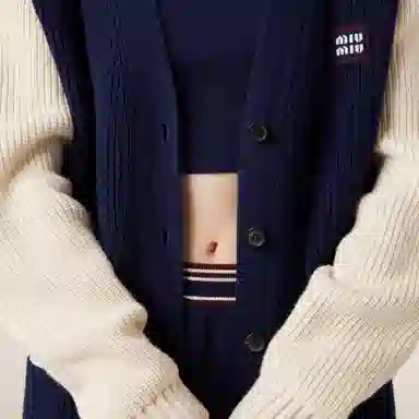 MIU MIU FW24 V
