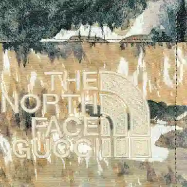 GUCCI x The North Face FW21 Forest Print Nylon Pants