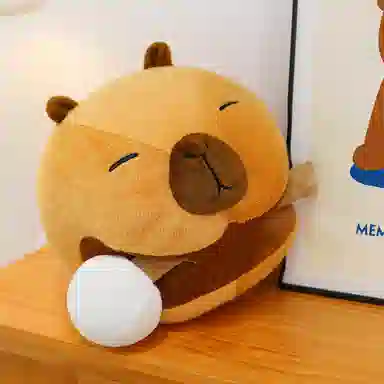 15cm25cm