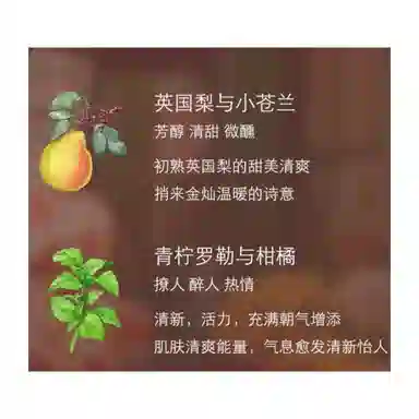 xPaddington EDC 100ml+9ml*2+15ml+30ml