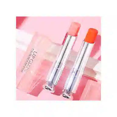 DIOR 001004