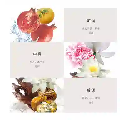 VERSACE EDT 30ml50ml90ml