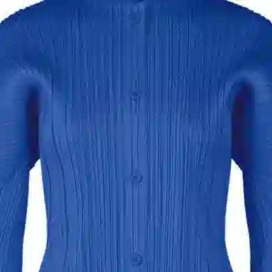 PLEATS PLEASE ISSEY MIYAKE