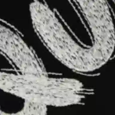 Alexander McQueen Logo