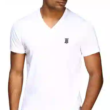 Burberry LogoVT