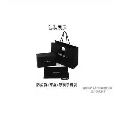 CHANEL Classic Flap CF mini Bag