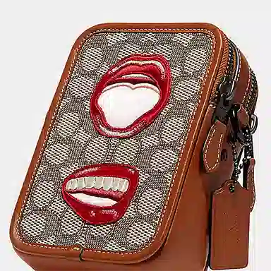 COACH X Tom Wesselmann Rogue 12