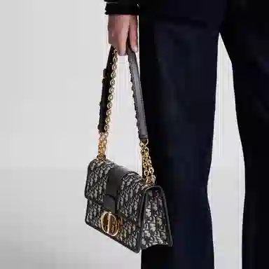 DIOR 30 Montaigne Oblique