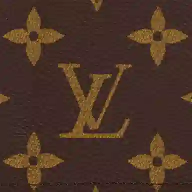 Louis Vuitton Canvas Passport Holder Brown