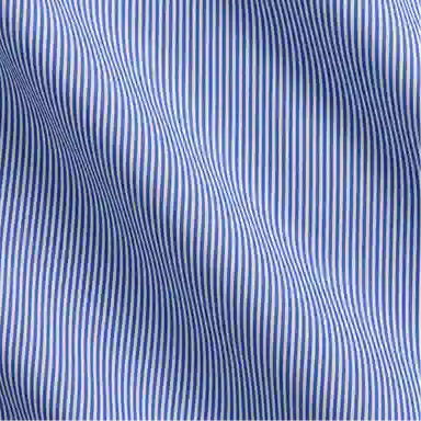 Polo Ralph Lauren FW24 Striped Collar Shirt Blue