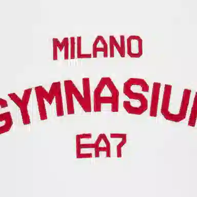 EMPORIO ARMANI EA7 SS25 T