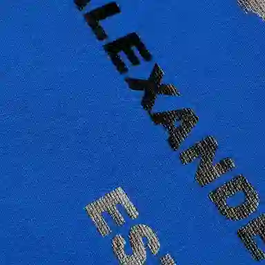 Alexander McQueen FW22 Logo