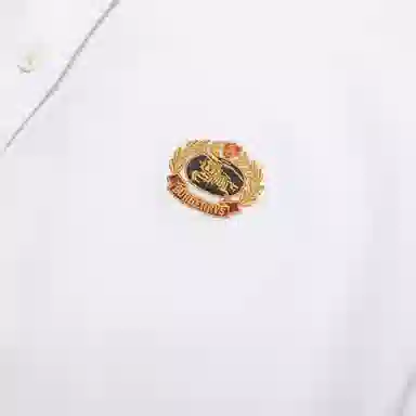 Burberry LogoPolo