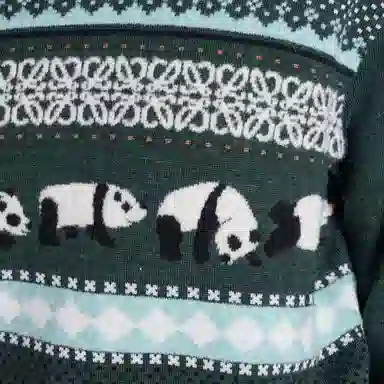LOEWE Sweater In Wool