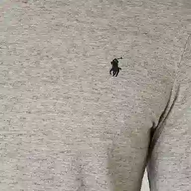 Polo Ralph Lauren SS24 LogoT