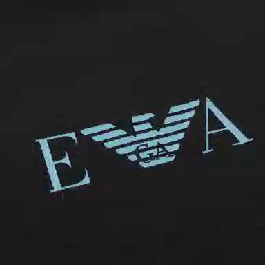 Emporio Armani EA7 Black Crewneck Long Sleeve