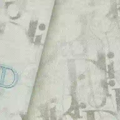 DIOR FW21 LogoObliqueT