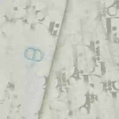 DIOR FW21 LogoObliqueT