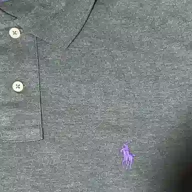 Polo Ralph Lauren Long Sleeve Polo Grey