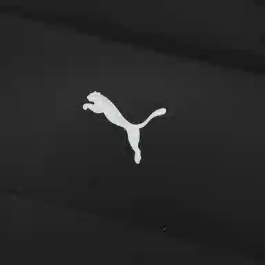 PUMA MEN'S DOWN JACKET